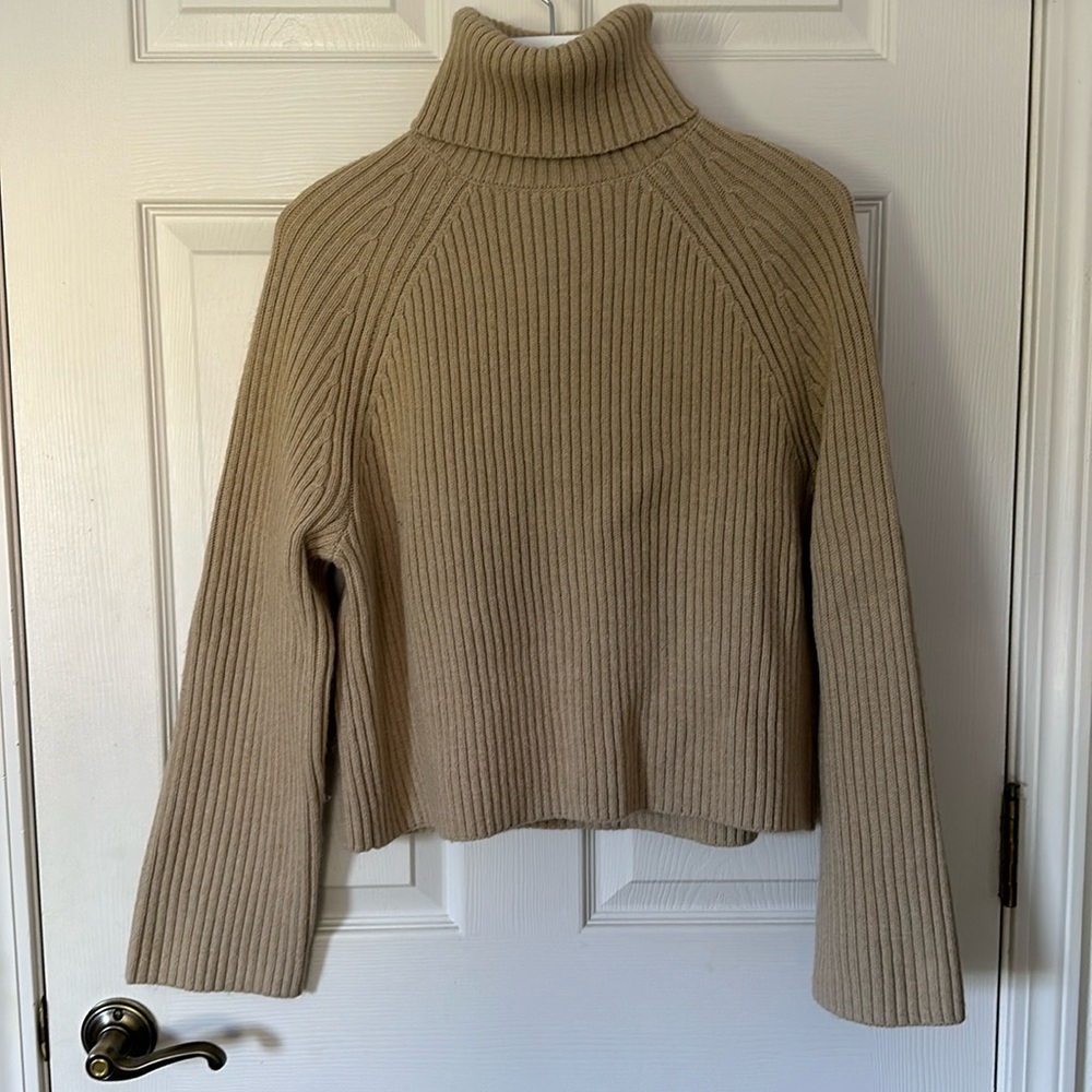 H&M Cropped Turtleneck